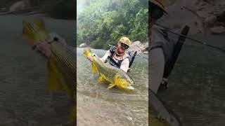 PESCA de DORADO GIGANTE en Santiago del Estero 🇦🇷🎣
