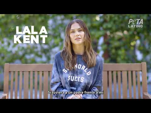 Estrella de Vanderpump Rules y supermamá quiere que los padres se mantengan alejados de SeaWorld