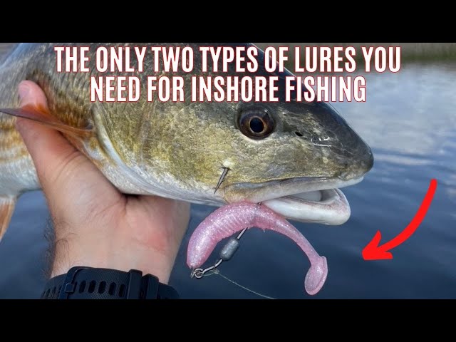 The Only TWO Types Of Artificial Lures You Need To Catch Inshore Fish 
