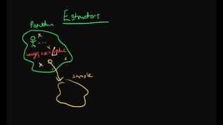Estimators - the basics (old)