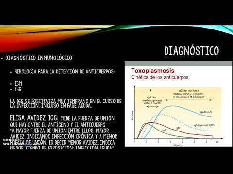 Vídeo: Diagnóstico Molecular De La Infección Por Toxoplasma Gondii En Libia