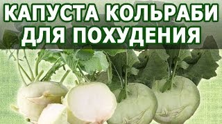 Кольраби Капуста Фото Полезные Свойства