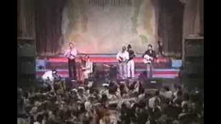 The Wolfe Tones - Brian Boru&#39;s March (Harp)