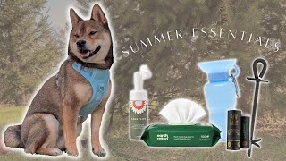 SHIBA INU's 5 SUMMER ESSENTIALS you need 🌞 part 1 by Aoki and Anaïs 748 views 11 months ago 5 minutes, 15 seconds