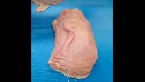 Automatic Single Lane Boneless Red Meat Slicer,  Beef Jerky Cutting Machine - CM Machine Services