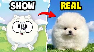 EVERY Bluey Character in REAL LIFE