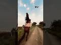 Amazing Horse Walking Like a Human 🐎 | Two Legs Horse Walk #Shorts #Horse #Amazing