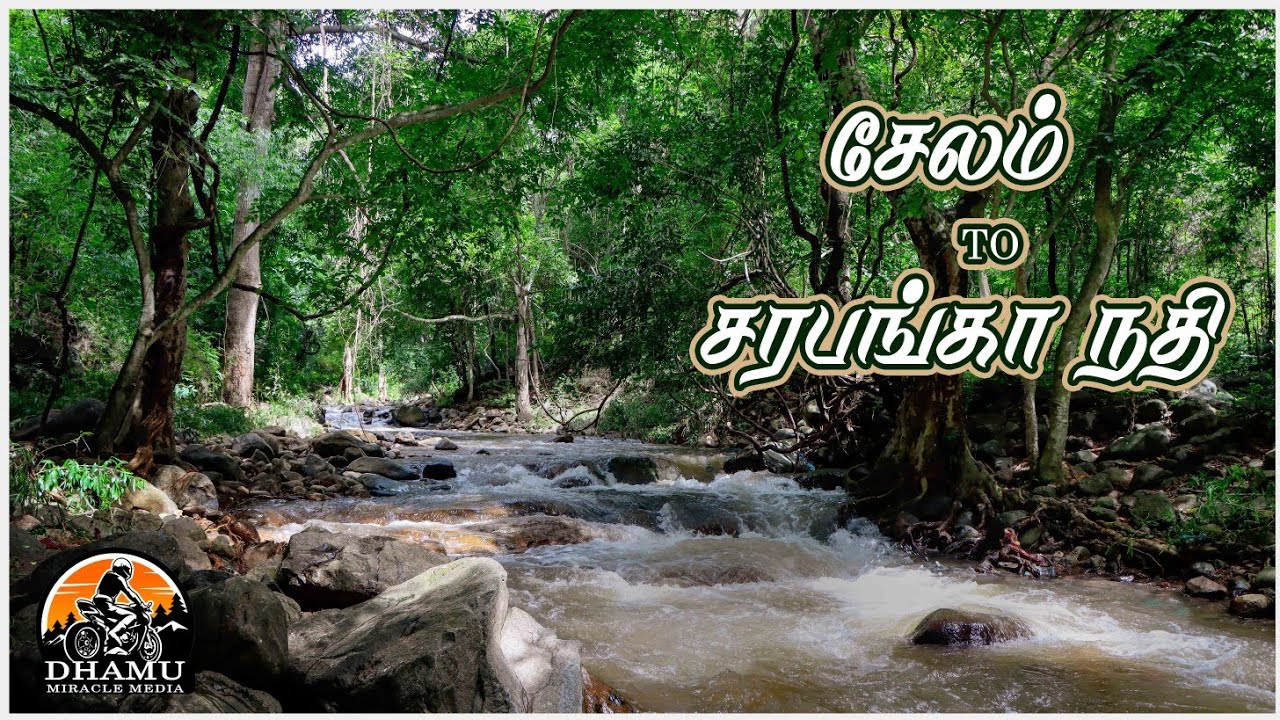 சேலம் To சரபங்கா நதி டேனிஷ்பேட்டை  |Salem to Sarabanga river denishpet travel video