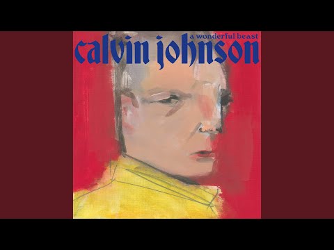 Calvin Johnson — A Wonderful Beast