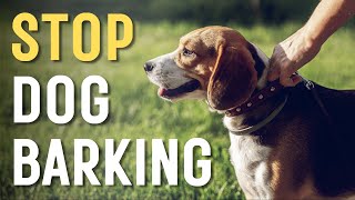 [30min] High-Pitched Dog Whistle Sound to Stop Dogs from Barking (20KHz)