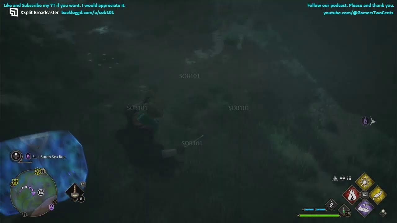 Hogwarts Legacy part 5 - I whip my wand back and forth