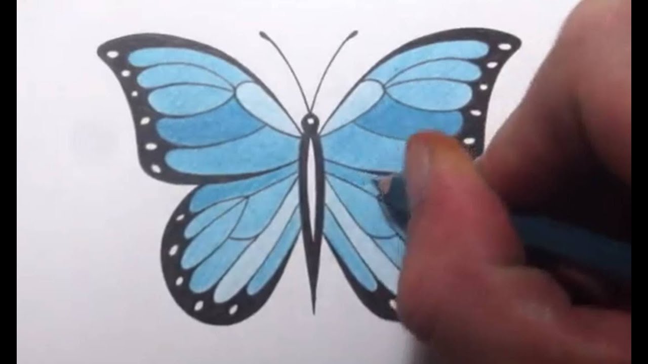 How To Draw a Butterfly