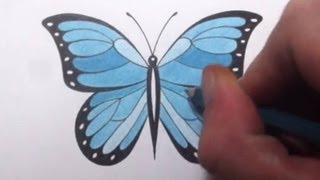 butterflies drawing butterfly draw