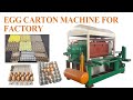 4000pcsh egg carton making machine in operation top egg tray machine supplier eggtraymachine