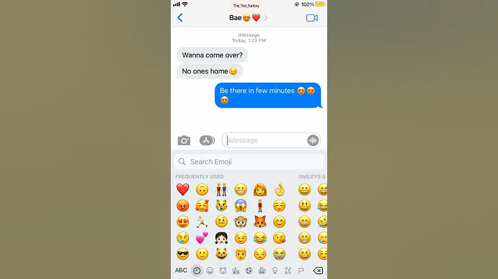 No one's home 😍 #shorts #texting #funny