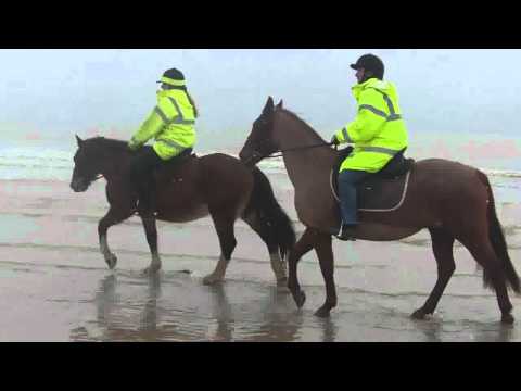 Rosie and Bonnie at Camber Sands