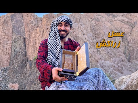 أغلى عسل يمني أشوفه في حياتي عسل زراكش