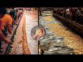 Is There a River Flowing with Gold Worth  $ 1,000,000,000,000 !