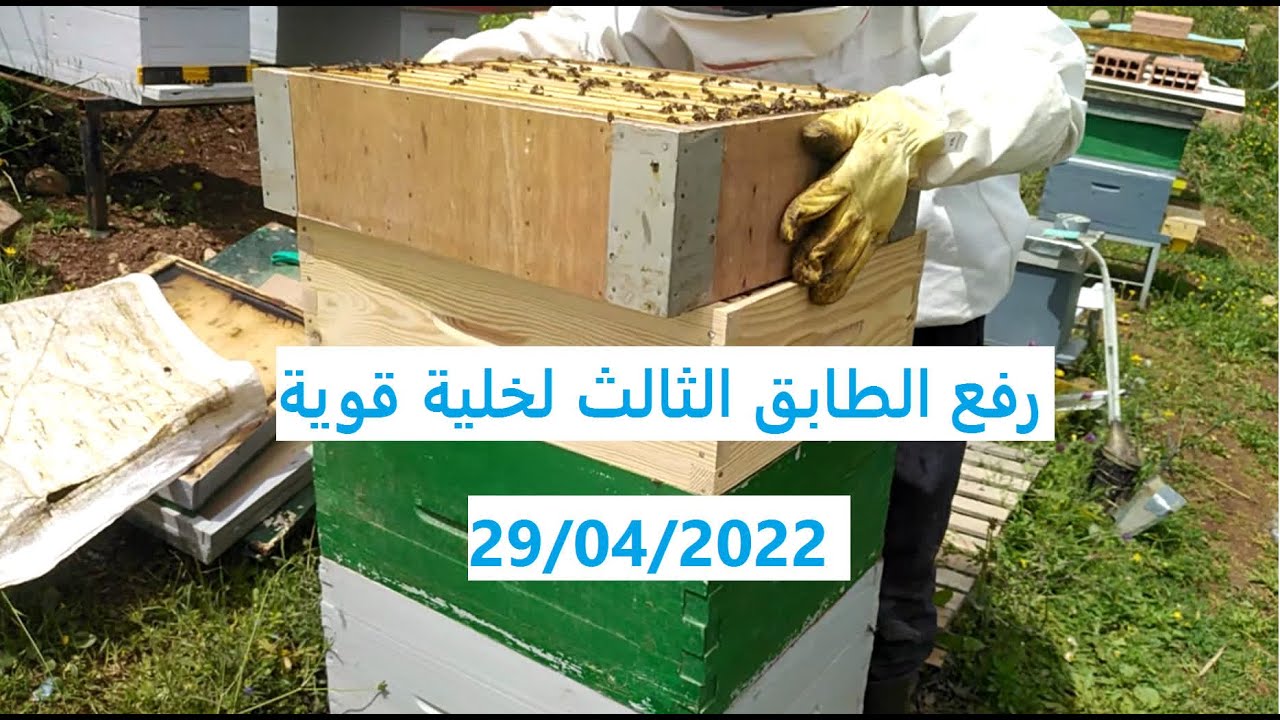 رفع الطابق الثالث لخلية قوية