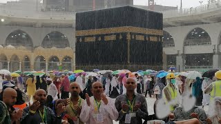 Что Пророк ﷺ делал во время дождя?