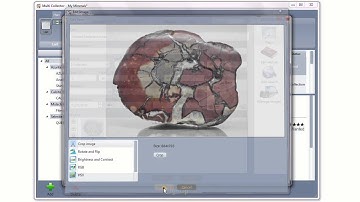 LignUp Multi Collector - a solution to organize any collections.
