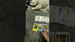 Personal tarot card reading #shorts rider smith tarot card