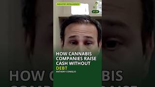 How Cannabis Companies Raise Cash Without Debt | Cannabinoid Connect #Shorts