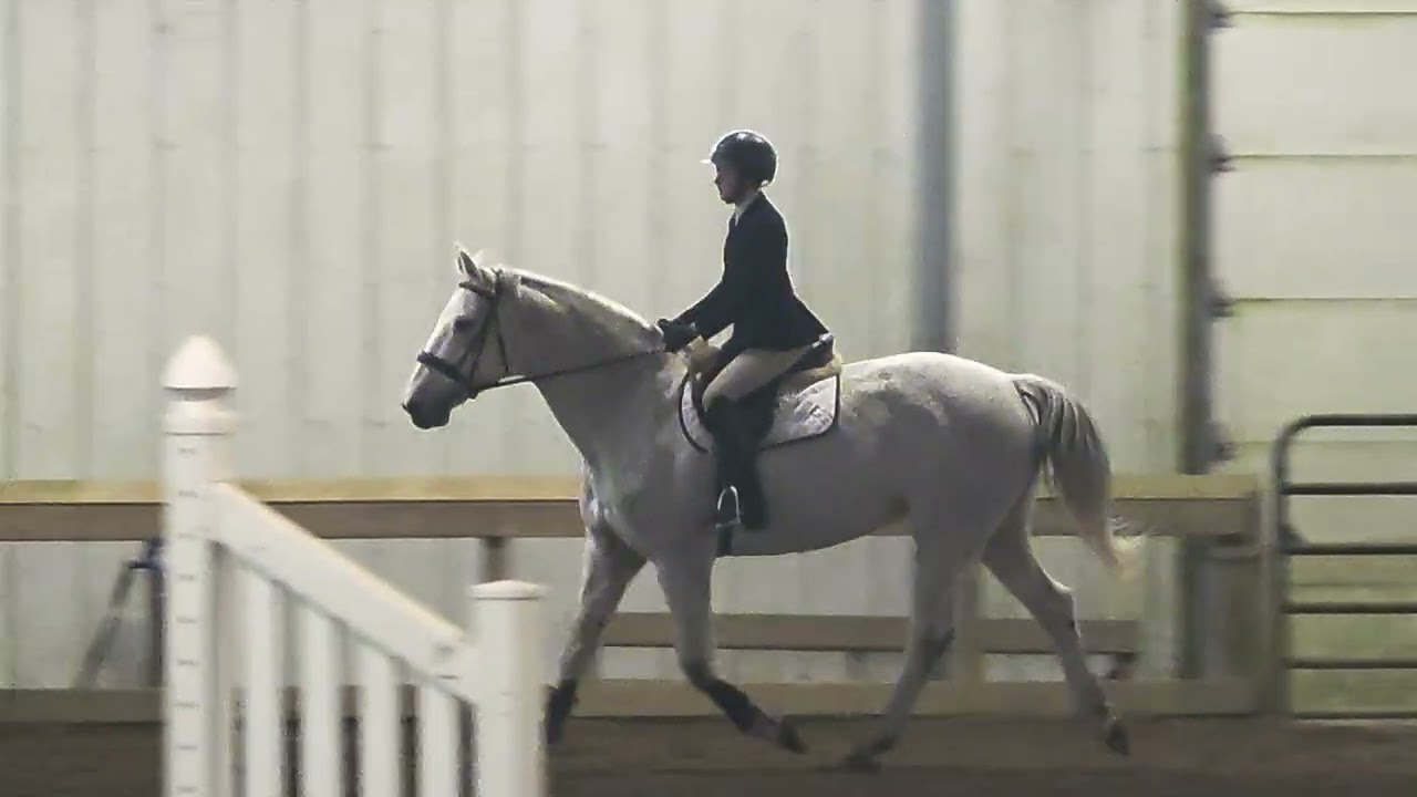 Emma Kaminski IEA Varsity Open Under Saddle, 1st place on Cora 12/28/2025