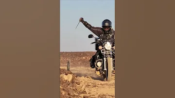 هيباتنا ترهب الذيب سرحاني 