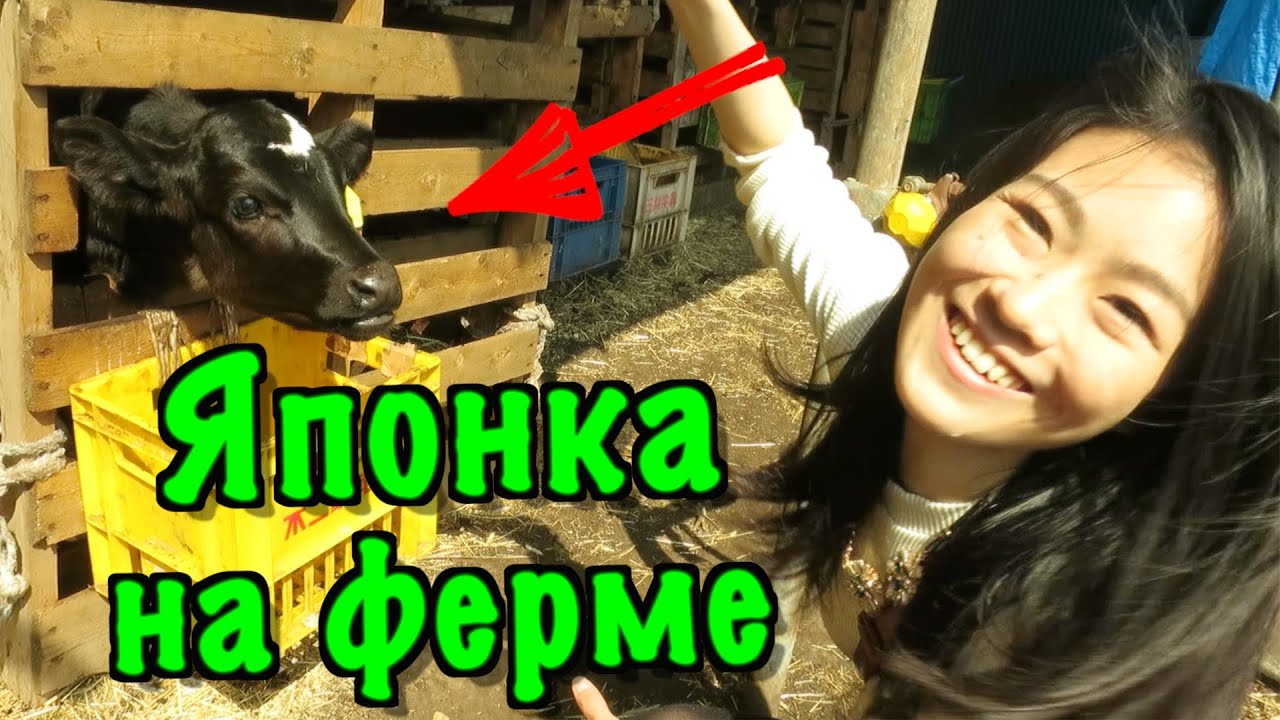 Логан и марико