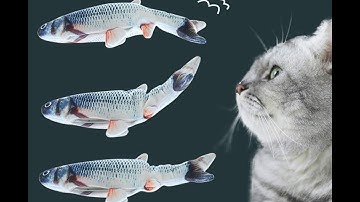 Interactive Dancing Fish Toy