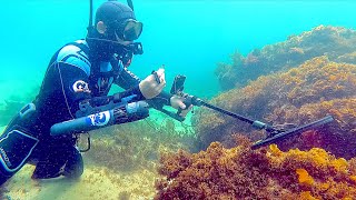 Underwater Metal Detecting CRAZINESS!! Money, Jewelry & DEADLY Wildlife Under BRIDGES!!