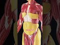 Laser fat loss | #weightloss #fitness
