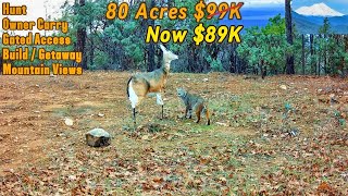 Acreage For Sale In California  Hunting Property, Owner Financed Land