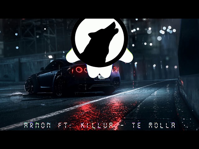 Arnon feat. Killua x Kolya Funk & Shnaps x Apollo Deejay - Te Molla