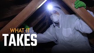 Wild Attic Racoons! - What it Takes to be a Wildlife Control Technician