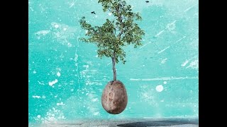 Yossi Sassi band - Pre-order &quot;Roots and Roads&quot; (3rd studio album)