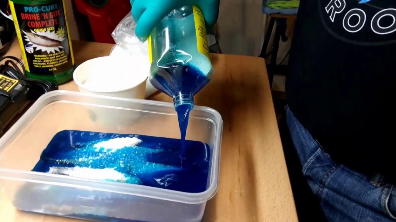 Brining Bait/ Anchovies with ProCure, My Way. YouTube