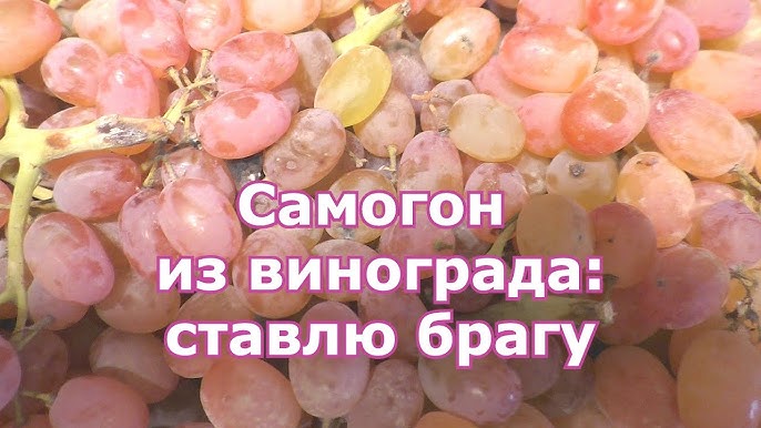 Рецепт чачи в домашних условиях