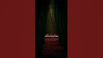 وهو الذي أنشأ لكم السمع || سورة المؤمنون || القارئ عبد الرحمن مسعد