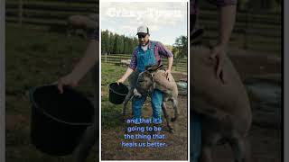 Find Your Next Relationship Here: Crazy Town Clip