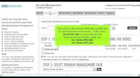 Creating Private Nameservers at 000domains.com