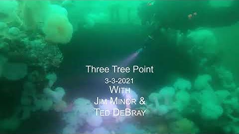 Three Tree Point  03/03/2021