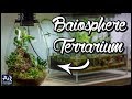 Terrarium für den Schreibtisch | AquaOwner