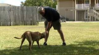 Randy Hare 062.MP4