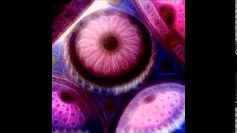 Ayahuasca Icaro -  "In A Clear Vision" (Pineal Gla...