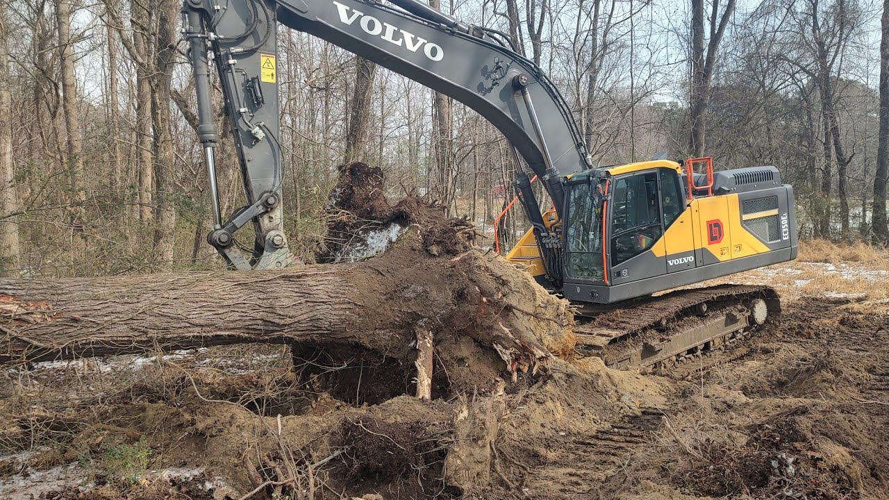 Burning In The Snow And A Tree Got The 350 :(