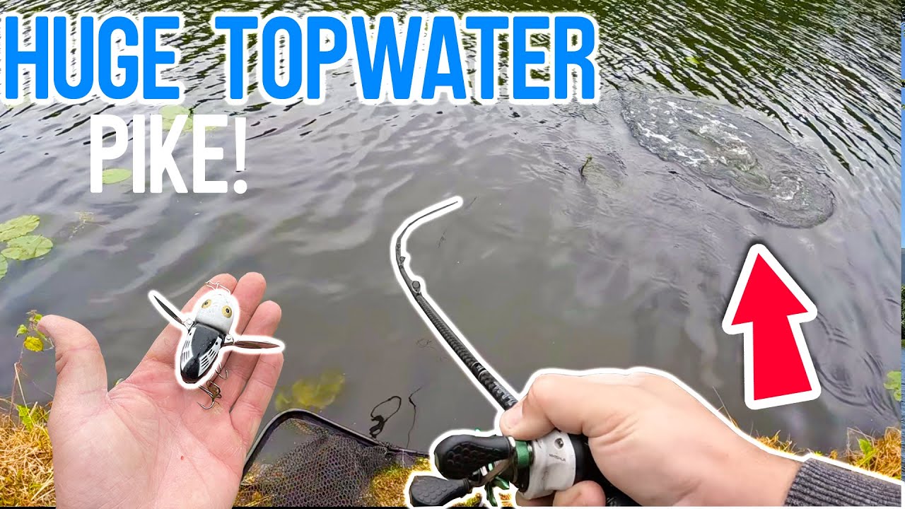 Catching MASSIVE Topwater Pike on this VINTAGE Lure! 
