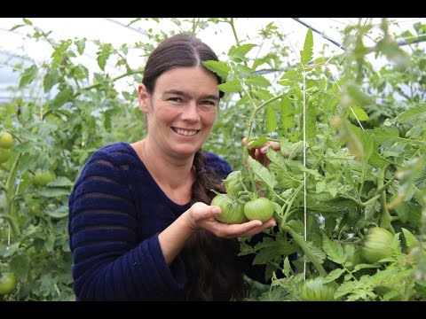 Video: Bakterielle Blattfleckenkrankheit - Was verursacht bakterielle Blattfleckenkrankheit?