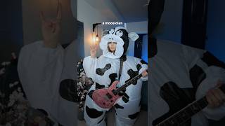 A Shark Is Always The Secon Choice